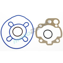 KOMPLET USZCZELEK RMS MINARELLI AM6