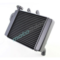 CHŁODNICA BENELLI BN 302 279126220000