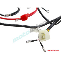 WIĄZKA ELEKTRYCZNA SKUTER GY6-50 4T KOŁA 12'