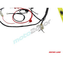 WIĄZKA ELEKTRYCZNA SKUTER GY6-50 4T KOŁA 12'