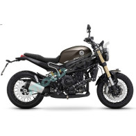 LEONCINO 800 BRĄZOWY MAT 2023