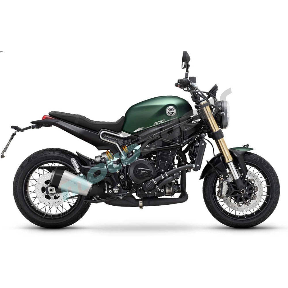 LEONCINO 800 ZIELONY 2023