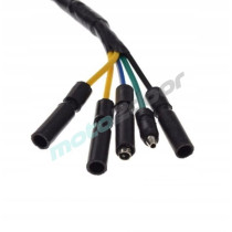 STATOR Z KOŁEM MAGNESOWYM PITBIKE YX160  POWER FORCE