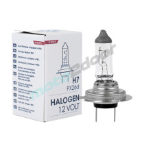 ŻARÓWKA HALOGENOWA M-TECH H7 12V 55W PX26D
