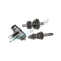 SKRZYNIA BIEGÓW KOMPLETNA POWER FORCE YX140 W063 / YX150 W150