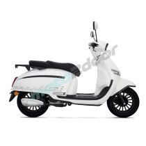 VERSILIA50 BIAŁY 2024