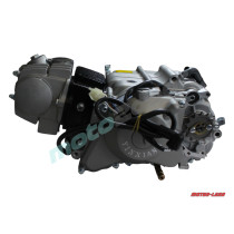 SILNIK POWER FORCE KOMPLETNY YX110 110CCM