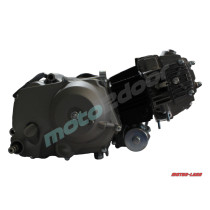 SILNIK POWER FORCE KOMPLETNY YX110 110CCM