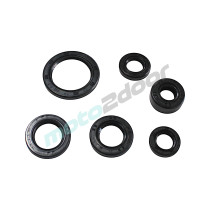 KOMPLET USZCZELNIACZY POWER FORCE 6SZT ATV CAB 50/110  NS139FMH