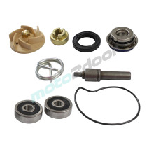 ZESTAW NAPRAWCZY POMPY WODY POWER FORCE PIAGGIO X7 BEVERLY CARNABY MP3 250-300 06-14 VESPA GTS GTV 250-300 05-13