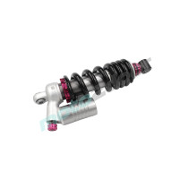 AMORTYZATOR TYLNY SRT550X