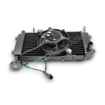 CHŁODNICA SRV125