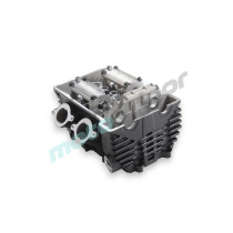 GŁOWICA CYLINDRA SRK700 SRV700