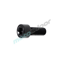 ŚRUBA M8X20MM SVT650 SVT650X SRK700 SRT800S SRT800SX SRK125R SRT550SX FORT350 SRT900S SRT900SX SRT600SX COV125X