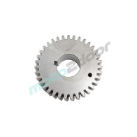 179306280010-QJ
