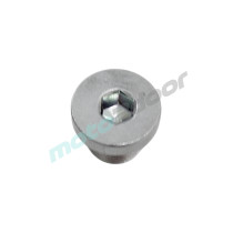 ŚRUBA-ZAŚLEPKA MTX125 SRV600V SRV12 COV125X