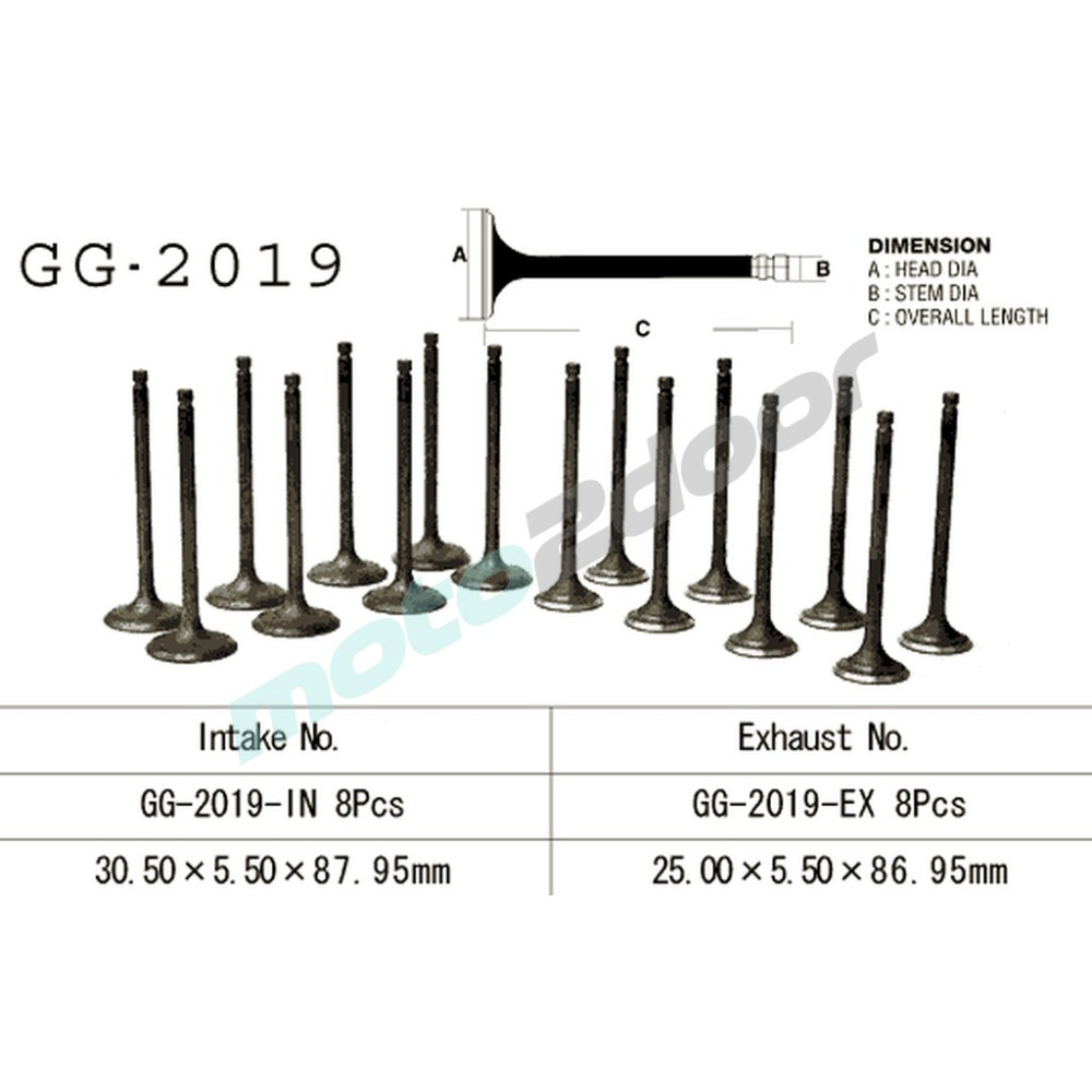 GG-2019-EX