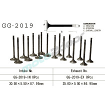 GG-2019-IN