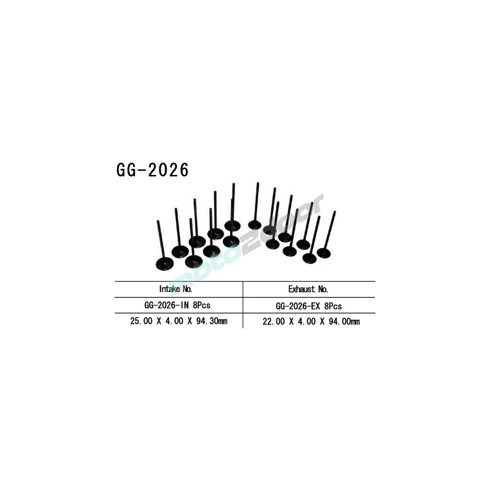 GG-2026-IN