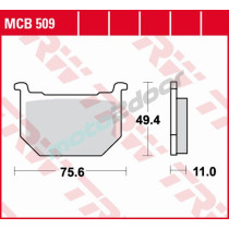 MCB509