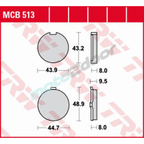 MCB513