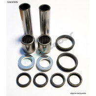 SAK30005